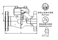 (bio)䓷mcֹy.jpg
